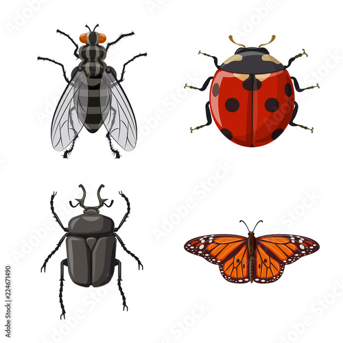 Isolated object of insect and fly symbol. Set of insect and element stock vector illustration. © Svitlana