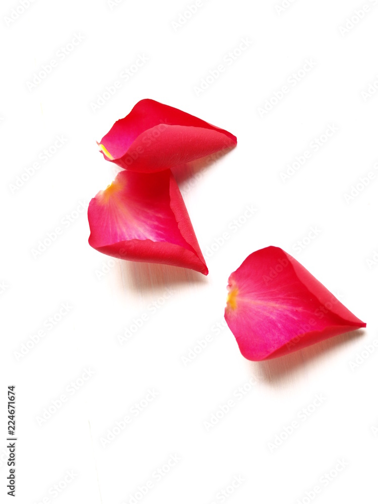 美しい真っ赤な薔薇の花びら 3枚 白背景 Stock Photo Adobe Stock 美しい真っ赤な薔薇の花びら 3枚 白背景 Stock Photo Adobe Stock