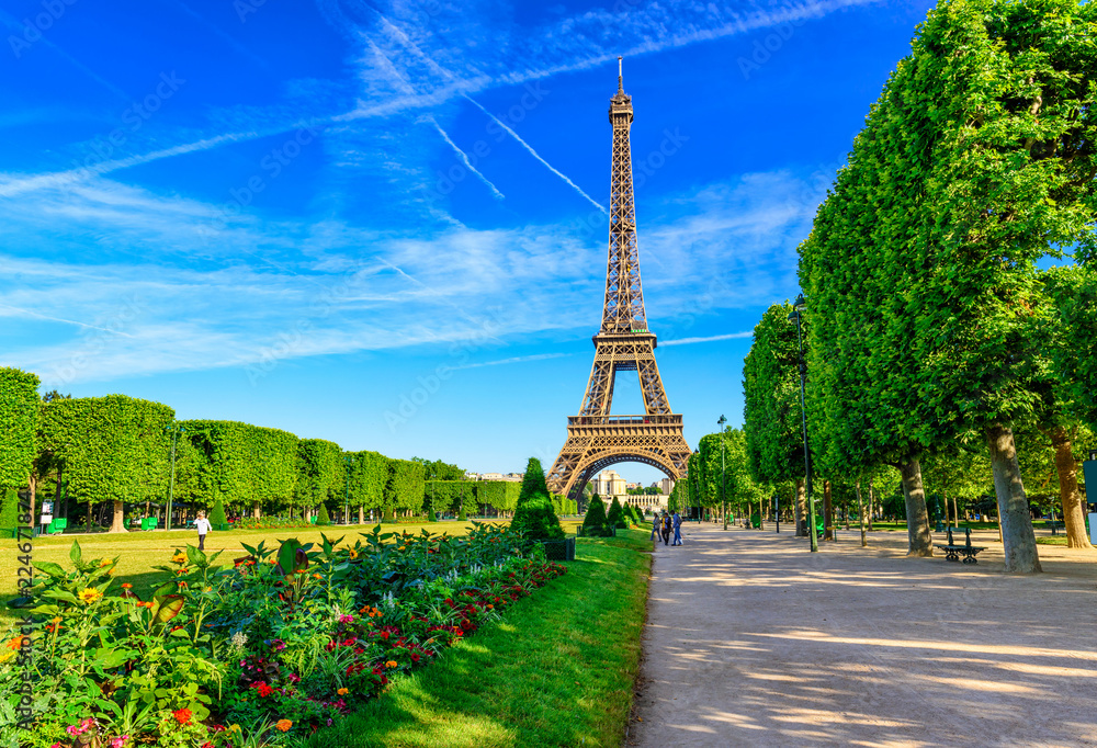 Fototapeta premium Paris Eiffel Tower and Champ de Mars in Paris, France. Eiffel Tower is one of the most iconic landmarks in Paris. The Champ de Mars is a large public park in Paris