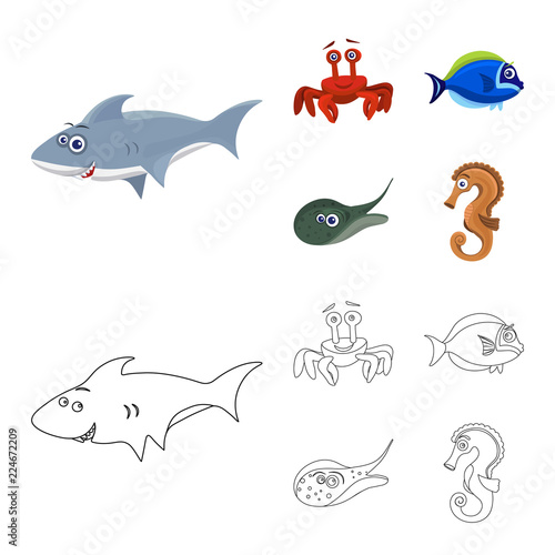 Isolated object of sea and animal icon. Collection of sea and marine stock vector illustration.