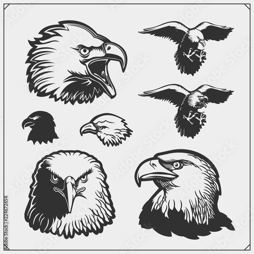 Set of Eagles. Emblems and template for sport club design.