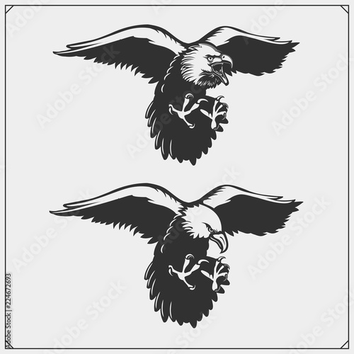 Eagles. Emblems and template for sport club design.