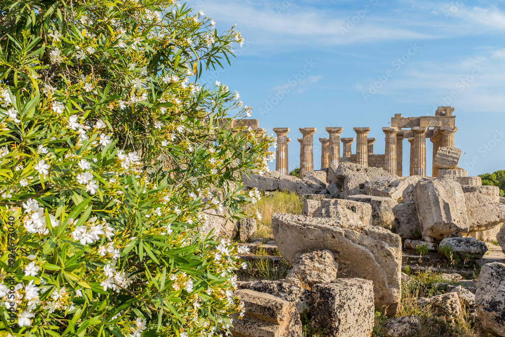 Selinunte, Sicily was an ancient Greek city on the south-western coast of Italy.