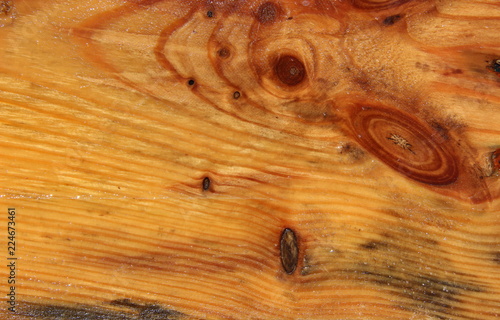 photo of a bright wavelike texture of a damp wood