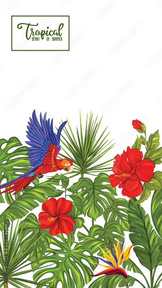 Tropical plants and parrot