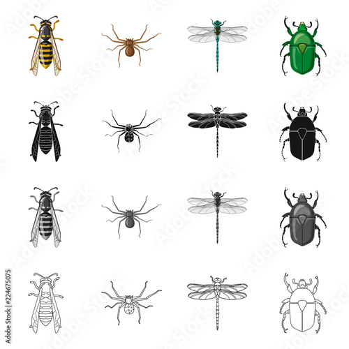 Isolated object of insect and fly logo. Set of insect and element vector icon for stock. © Svitlana
