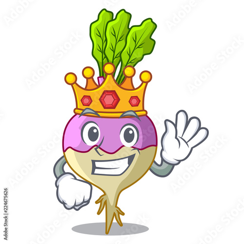King raw rutabaga root isolated on mascot