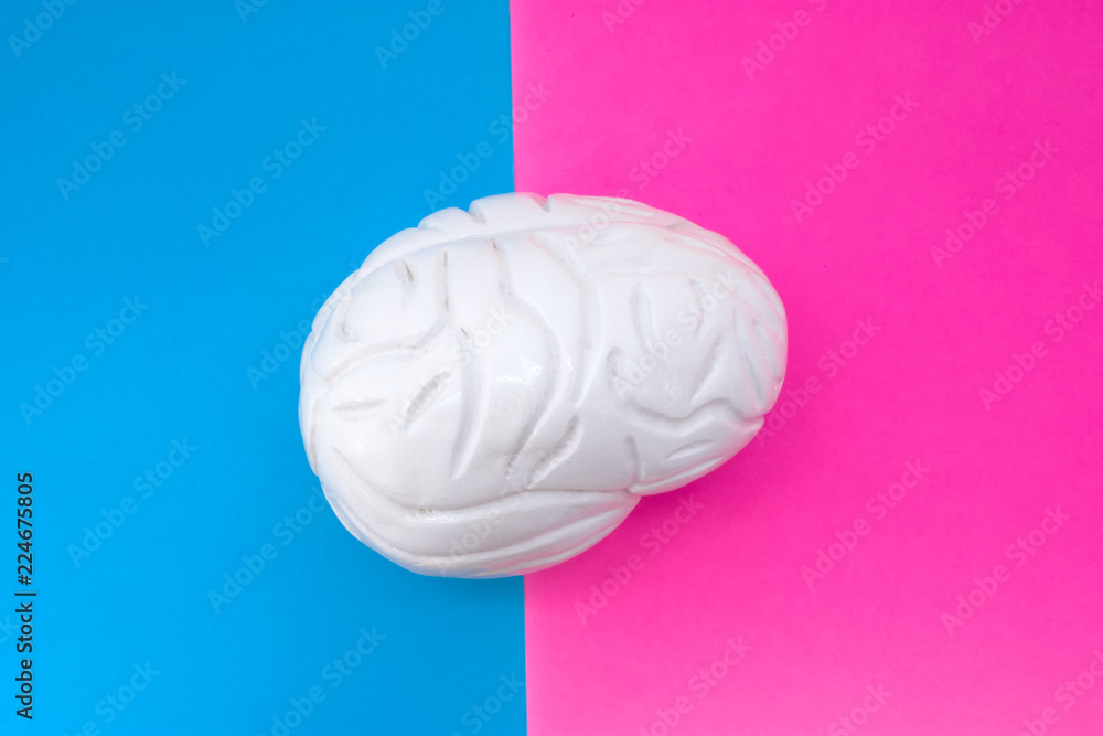 Anatomical shape of brain is located in middle of frame, divided by ...
