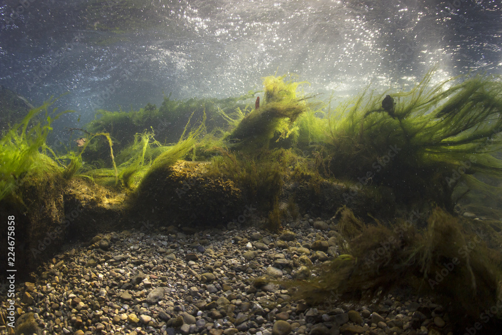 River underwater rocks on a shallow riverbed with clear water