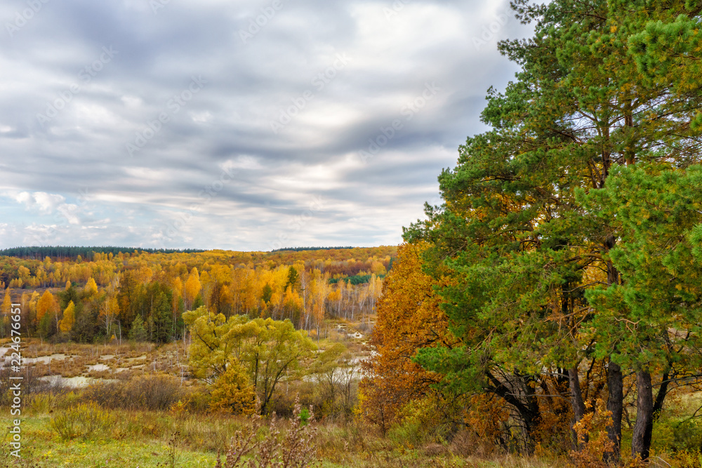 Picturesque autumn landscape. View from the hill to the lowland with forest and swamps. Beautiful natural background