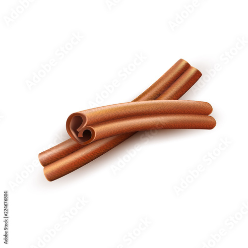 Realistic dried cinnamon sticks vector spice and