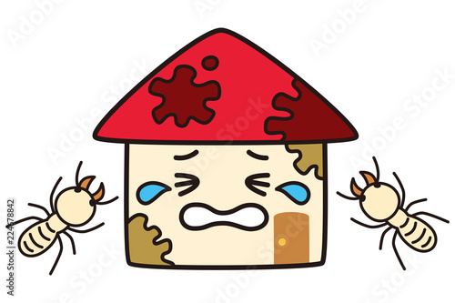 家の白アリ被害