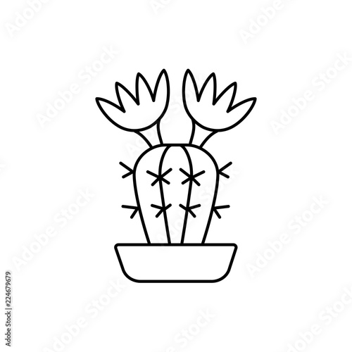 Vector illustration of blooming notocactus. Line icon of desert cactus plant in the pot. Isolated object on white background. Home decor element.