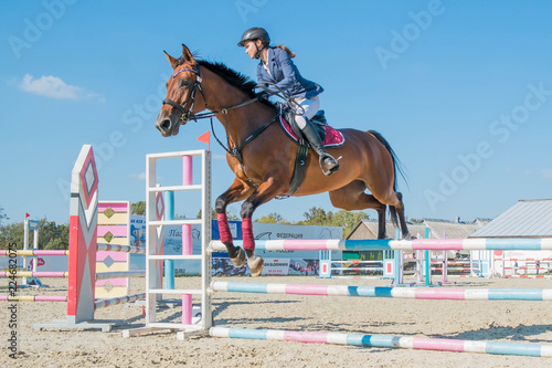 Horse jumping equestrian sport