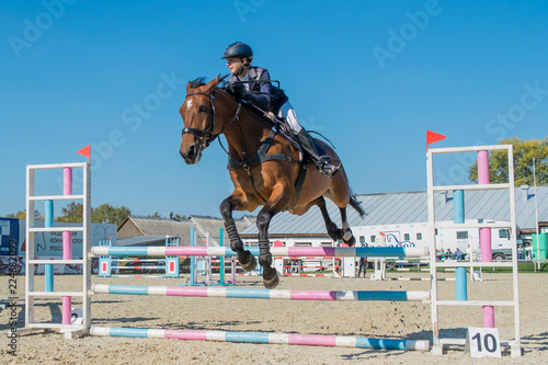Horse jumping equestrian sport © Pavel