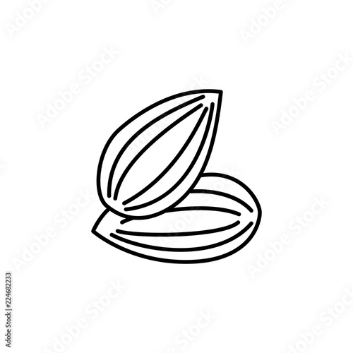 Black & white vector illustration of shelled almond. Line icon of nut. Vegan & vegetarian food. Health eating ingredient. Isolated object