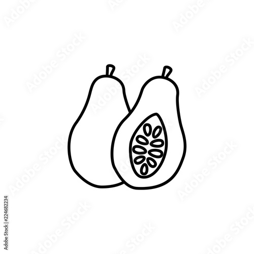 Black & white vector illustration of whole & cut papaya with seeds. Line icon of fresh tropic fruits. Vegan & vegetarian food. Health eating ingredient. Isolated object