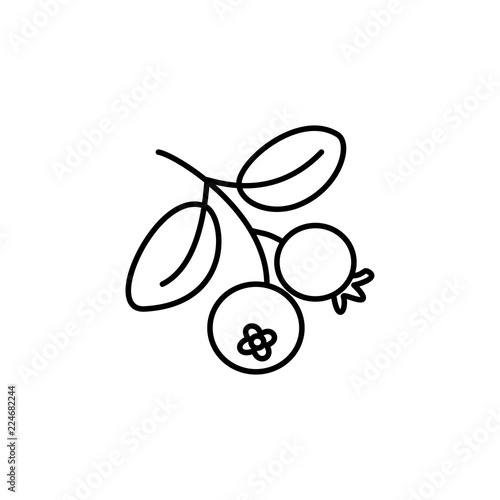 Black & white vector illustration of organic cranberry with leaves. Line icon of fresh berries. Vegan & vegetarian food. Health eating fruit ingredient. Isolated object