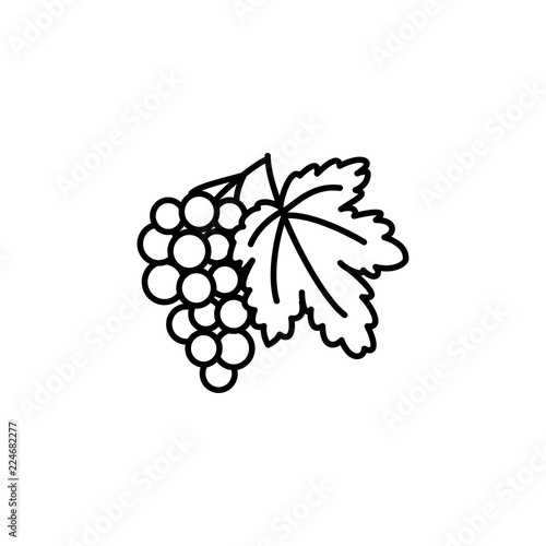Black & white vector illustration of grape fruit with leaf. Line icon of bunch of grapes. Vegan & vegetarian food. Health eating ingredient. Isolated object