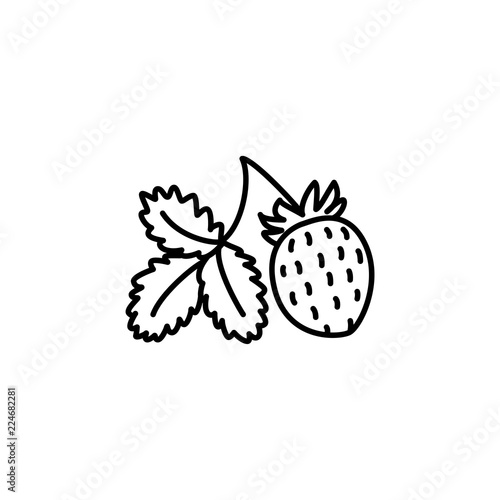 Black & white vector illustration of organic strawberry with leaf. Line icon of fresh berry. Vegan & vegetarian food. Health eating fruit ingredient. Isolated object