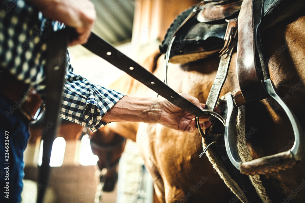 A close-up of a senior man putting a saddle on a horse in a stable.