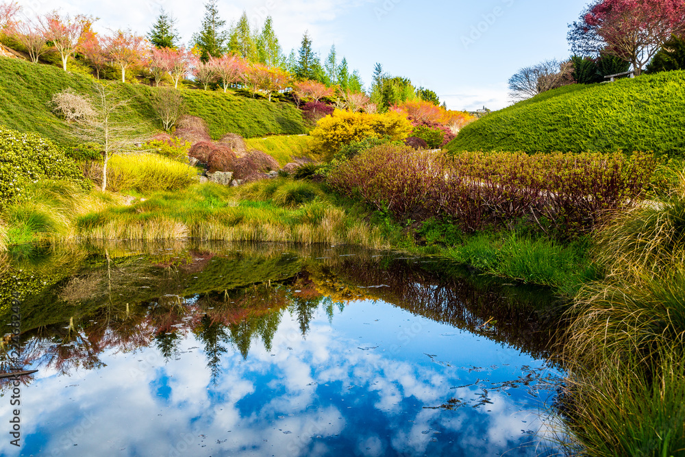 Fototapeta premium Maple Grove, Rotorua 