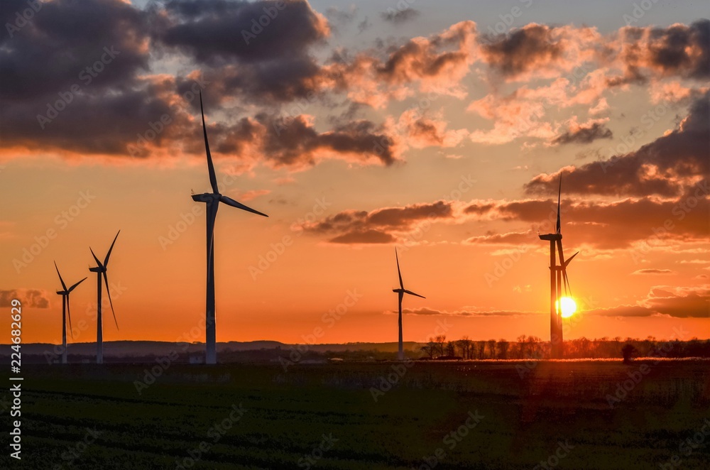 Obraz premium Wind Turbines at Sunset