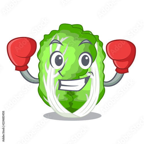 Boxing chinese cabbage in the basket cartoon