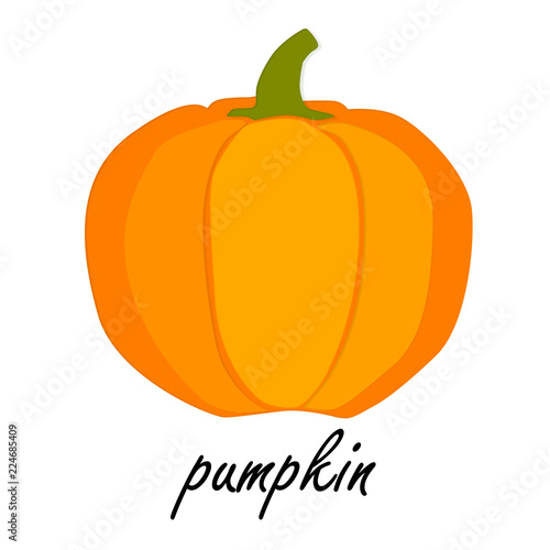 pumpkin art illustration 