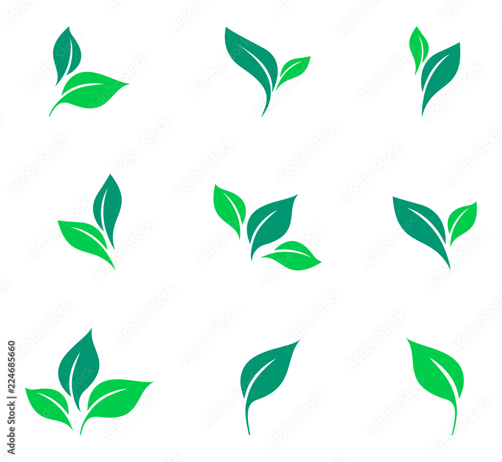 Leaves icon vector set isolated on white background. Various shapes of green leaves of trees and plants. Elements for eco and bio logos.