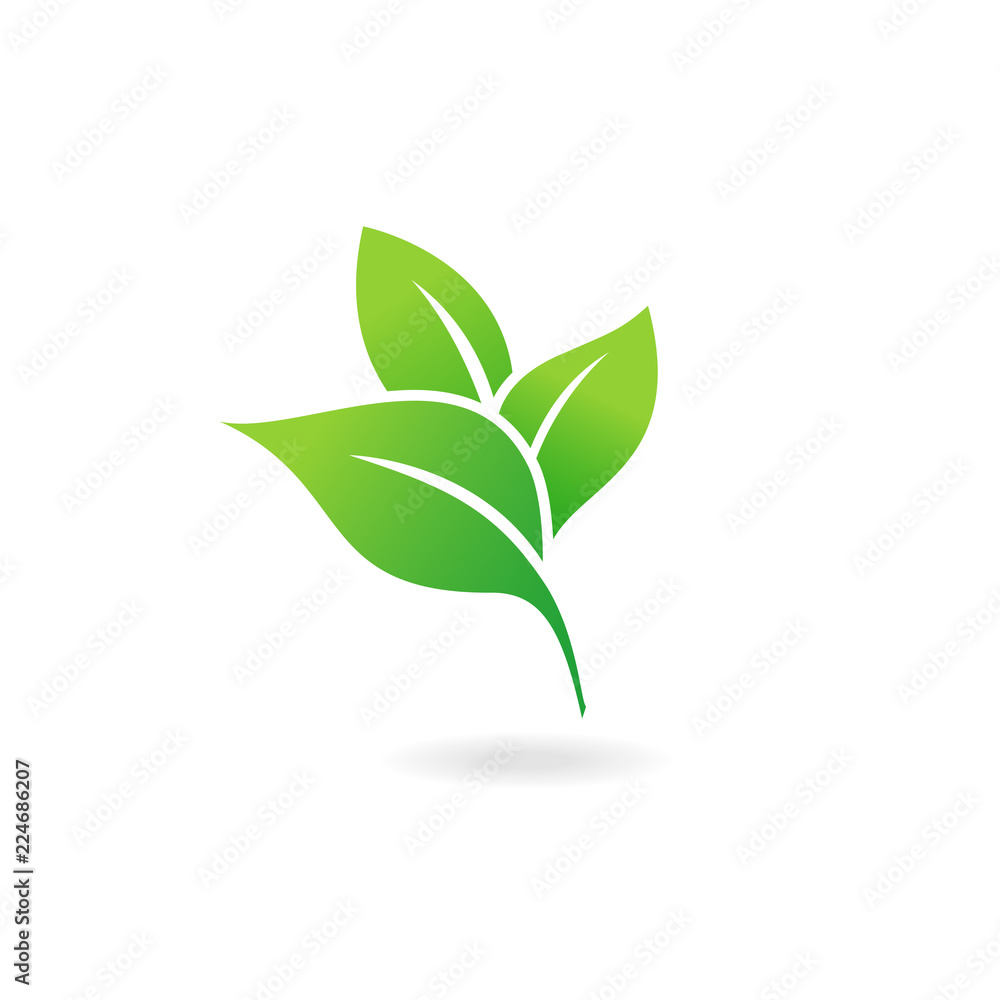 Green Leaf Icon Vector Illustrations. Ecology icon. Green Leaf Icon Vector Illustrations. Ecology icon.