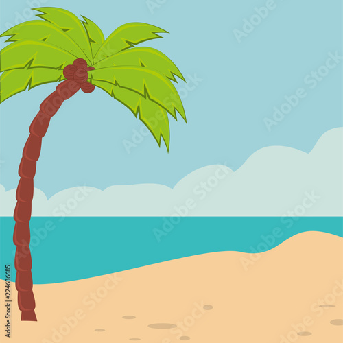 beach landscape with tree palm