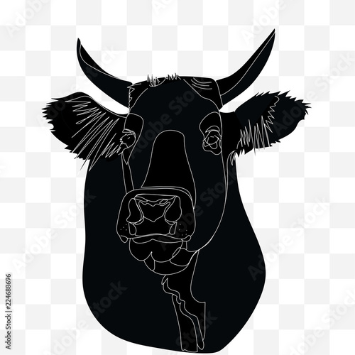 Silhouette of a cow in black with white lines. Red angus. Irish angus. On transparent background.