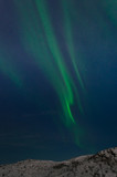Aurora Borealis,Northern lights over the tundra in winter.
