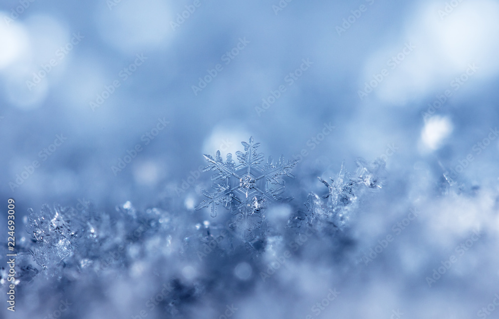 snowflake, little snowflake on the snow snowflake, little snowflake on the snow