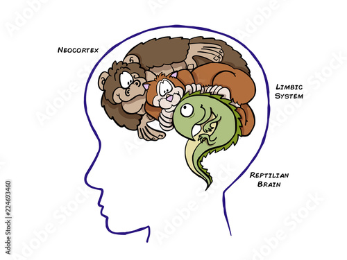 Triune Brain