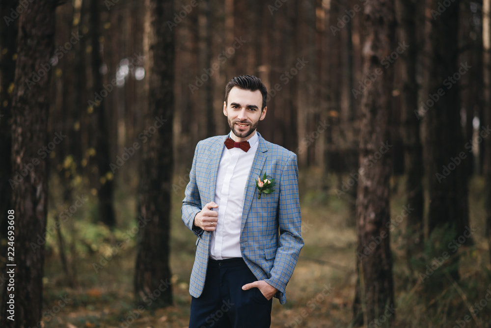 The portrait of attractive groom in a suit and bow tie with boutonniere or buttonhole on jacket, is standing against the background of the forest at nature. The portrait of attractive groom in a suit and bow tie with boutonniere or buttonhole on jacket, is standing against the background of the forest at nature.
