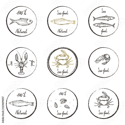 Vector illustration. Sea food imprint : sea fish, crab, shrimps and mussels . Chalk style vector objects. Stamps collection.