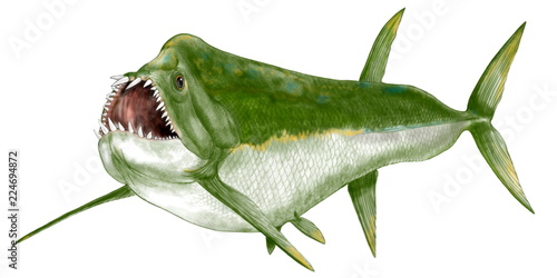 Ilustracao Do Stock 古代魚 クシファクテヌス 白亜紀全期に亘って生息した海棲の古い真骨魚 アロワナ上目に属する 全長は5 6メートル 顎が広がり かなりの大物を飲み込むことができた 全身の骨格化石があり イラスト制作のための全身のフォルムは イメージは Ilustracao Do Stock 古代魚 クシファクテヌス 白亜紀全期に亘って生息した海棲の古い真骨魚 アロワナ上目に属する 全長は5 6メートル 顎が広がり かなりの大物を飲み込むことができた 全身の骨格化石があり イラスト制作のための全身のフォルムは イメージは
