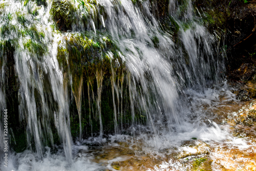 Forest stream, fast water flow

