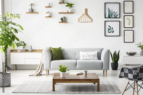 Flowers on wooden table in front of grey sofa in scandi flat interior with posters and armchair. Real photo