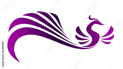 Magic bird on a white background