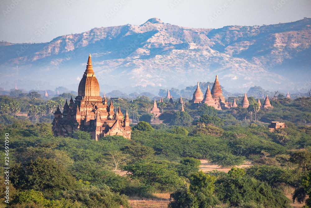 Fototapeta premium Buddha temple in the sunset dawn