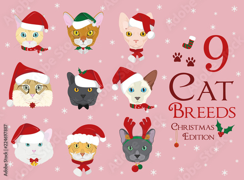 Set of 9 cat breeds with Christmas and winter themes