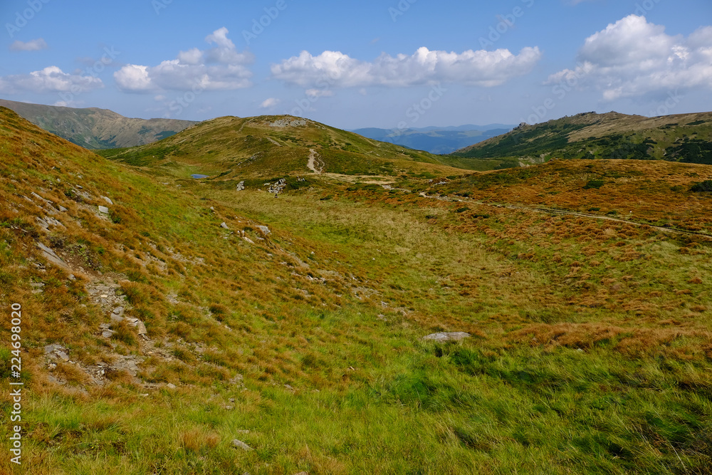 Fototapeta premium beautiful mountain landscape, Mount Vuhaty Kamen, summer Carpathians