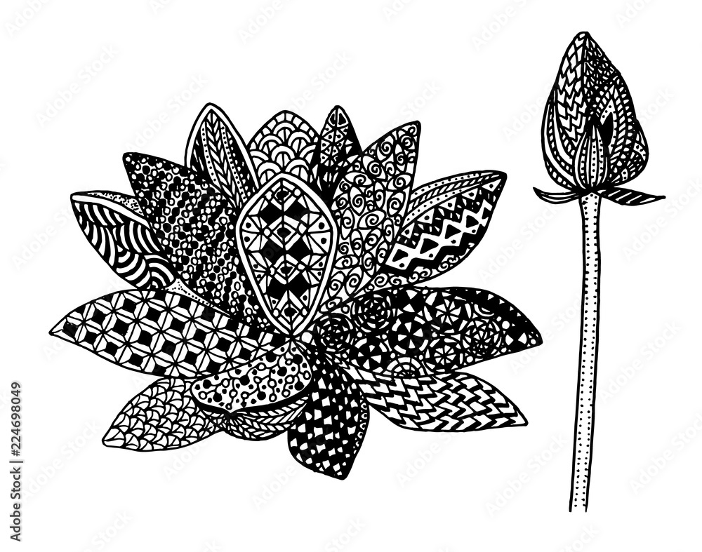 zentangle lotus flower