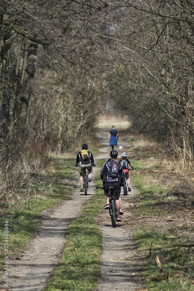 aktywny wypoczynek, wiosenne wycieczki piesze i rowerowe aktywny wypoczynek, wiosenne wycieczki piesze i rowerowe