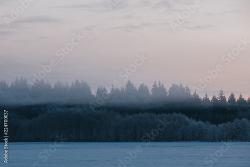 Winter landscape with sunrise and fog above the forest. © Darius SUL