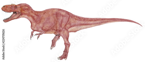 Fotografia 白亜紀後期の恐竜。ティラノサウルス科。全長8