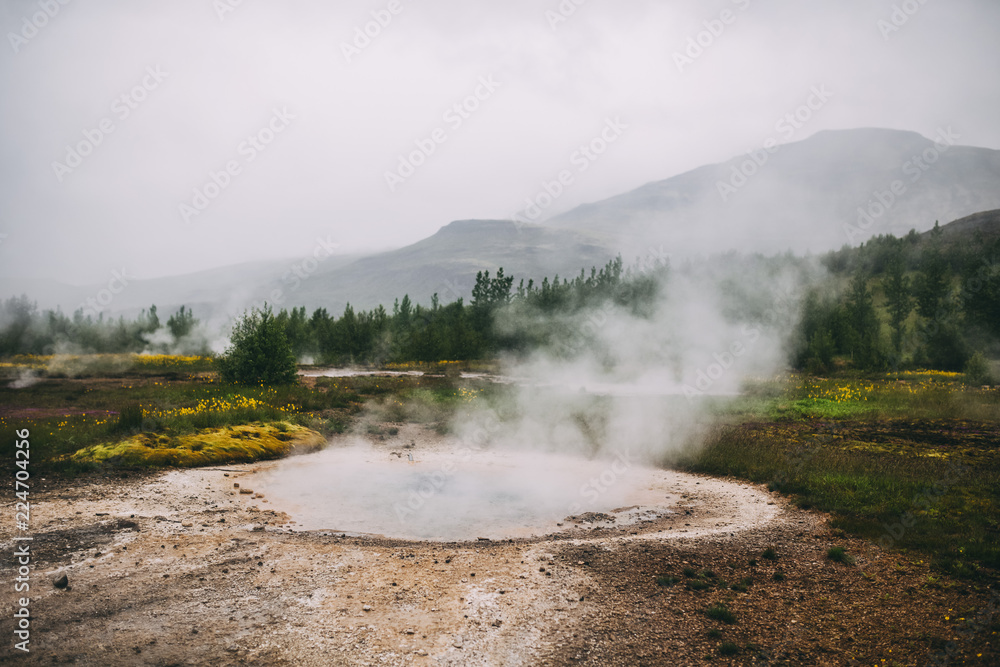 Geysir Hot Spring Area in south Iceland
